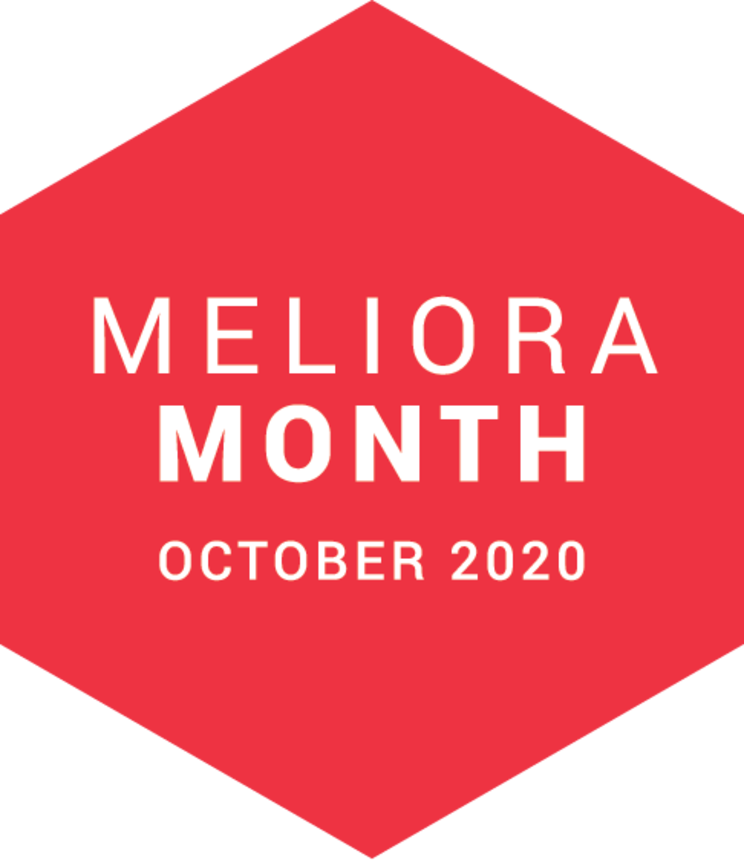 Image: Meliora Month 2020 Hexagon